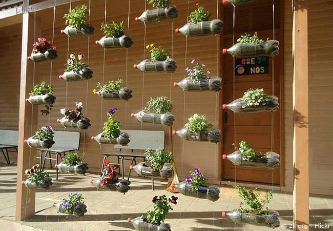 Plastikflaschen als vertical Gardening