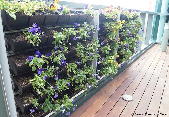 Balkonbepflanzung optimiert durch vertikale Bepflanzung