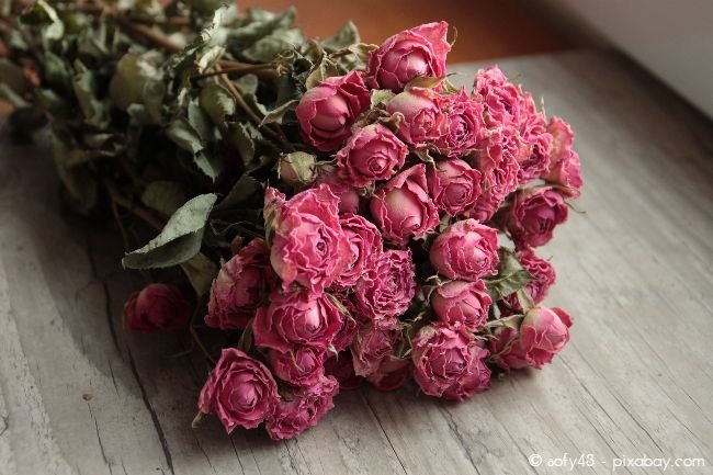 Getrocknete Rosen in Vasen sind eine wunderbar langlebige Dekoration.