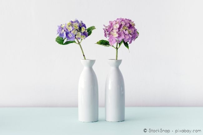 Schlichte Vasen sehen zur Dekoration besonders stilvoll aus.